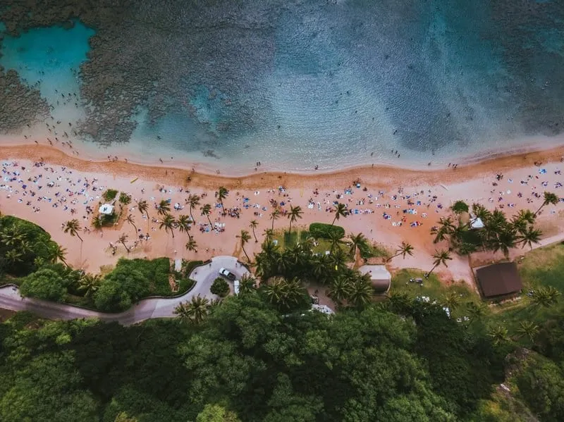 AAMP Agency - unsplash image af82ce82de6bd331c74e3cd83ca5614f 800 1920w