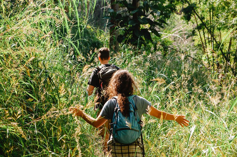 Two people hiking through lush green grass in sunlight.