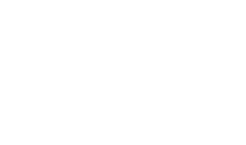 Polaris Adventures Standard Logo White
