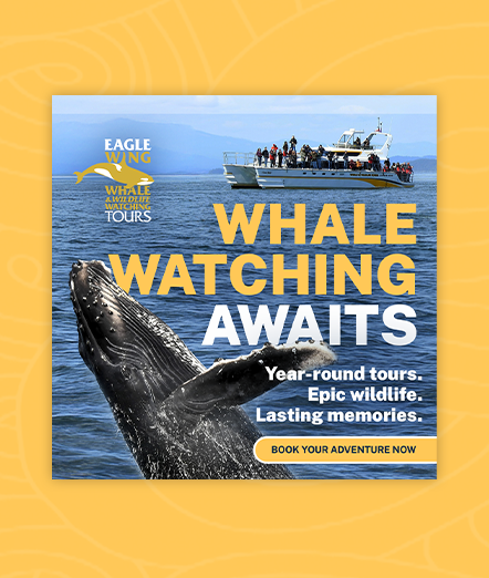 AAMP Agency - Case Study Eagle Wing Ad1