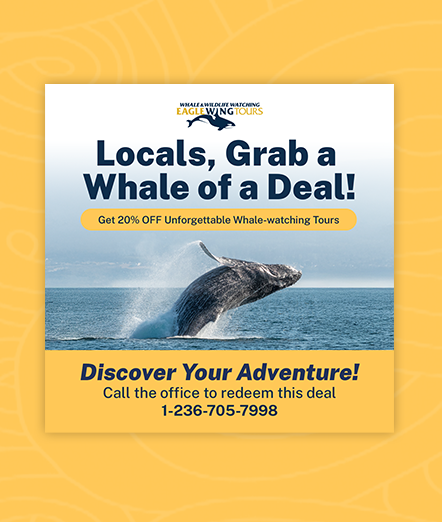 AAMP Agency - Case Study Eagle Wing Ad2