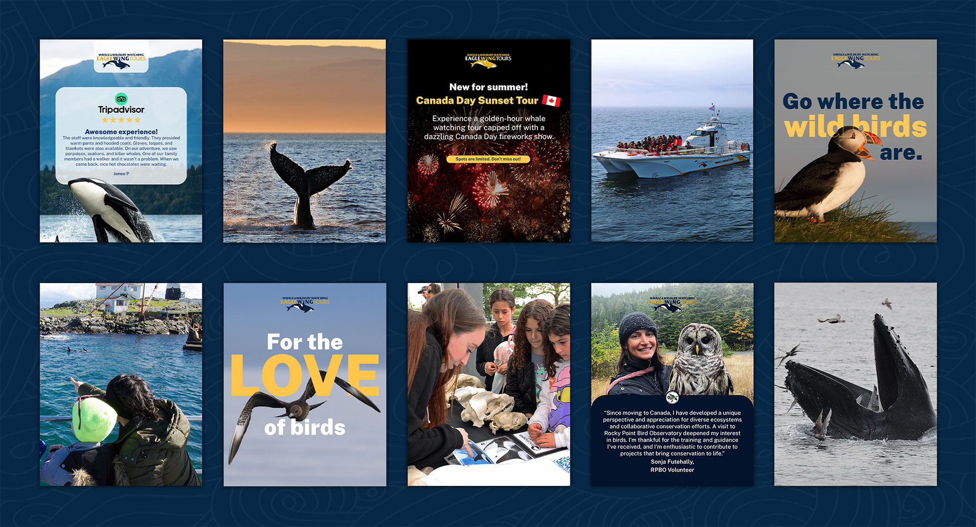 AAMP Agency - Case Study Eagle Wing Social Media