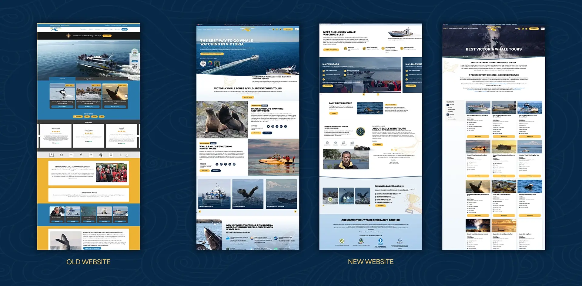 AAMP Agency - Case Study Eagle Wing Website new