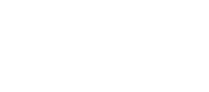 AAMP Agency - googlePremierPartnerBadge