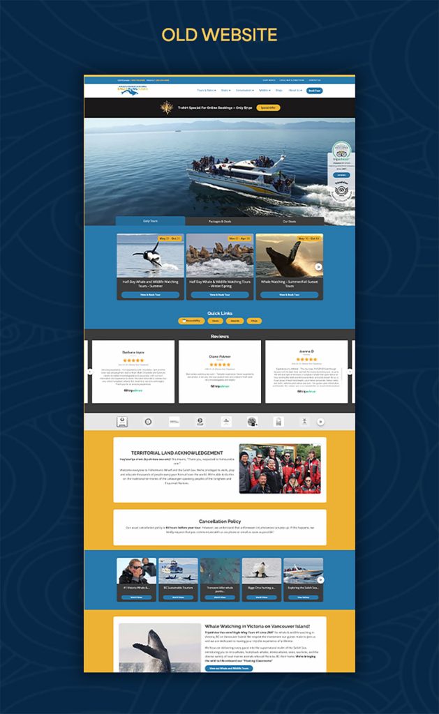 AAMP Agency - Case Study Eagle Wing Website Mobil 1