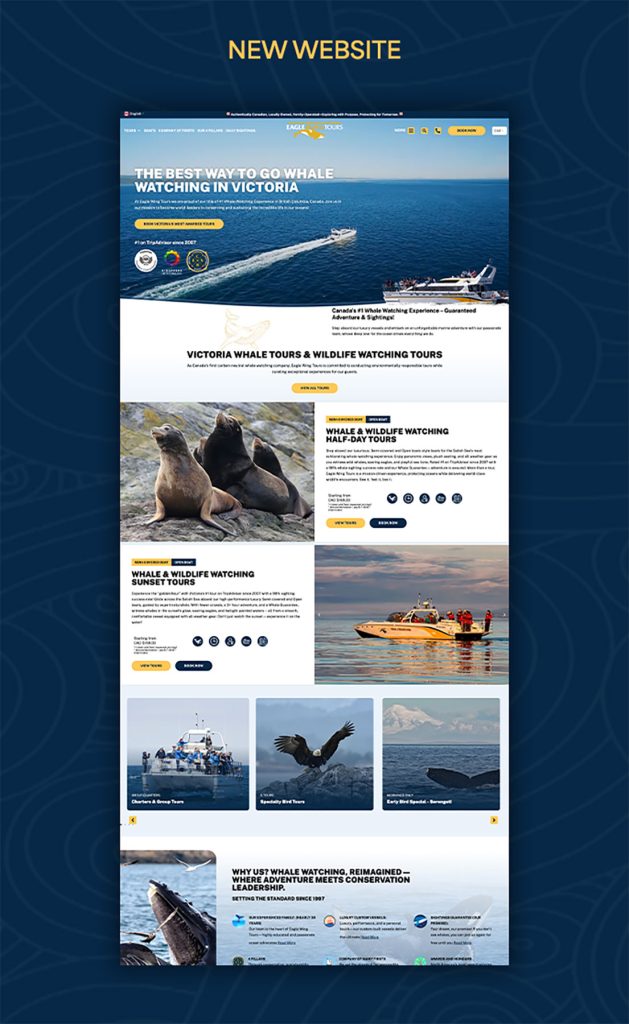 AAMP Agency - Case Study Eagle Wing Website Mobil 2