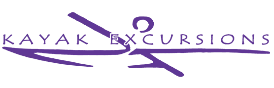 kelogopurple