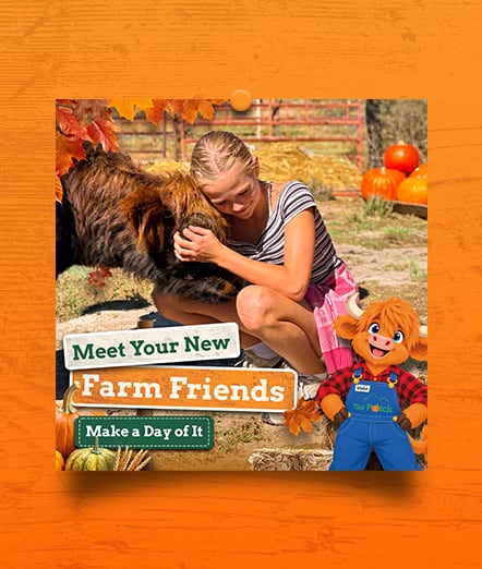 The Patch ad “Meet Your New Farm Friends”: a girl hugging a Highland cow, with Walter the steer