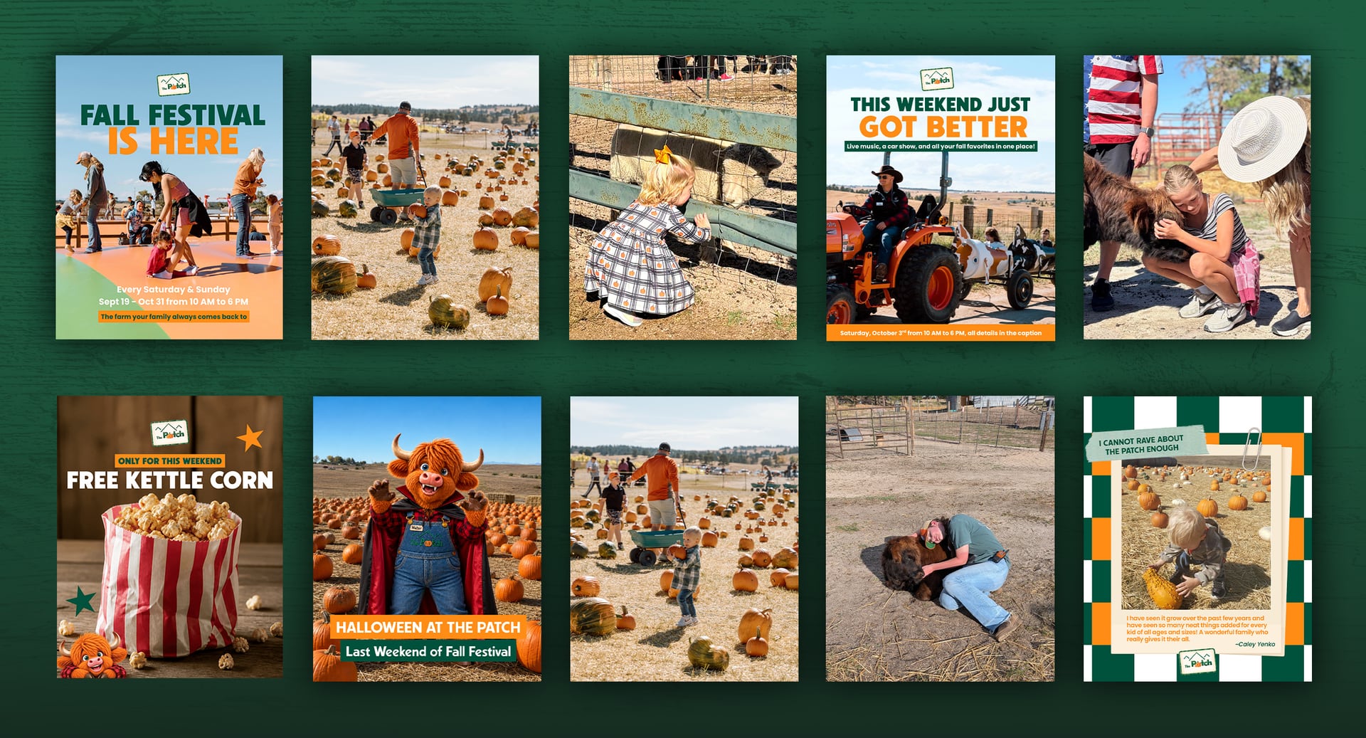 The Patch social media posts: Fall Festival announcements, pumpkin patch and farm animal photos, and Walter the steer