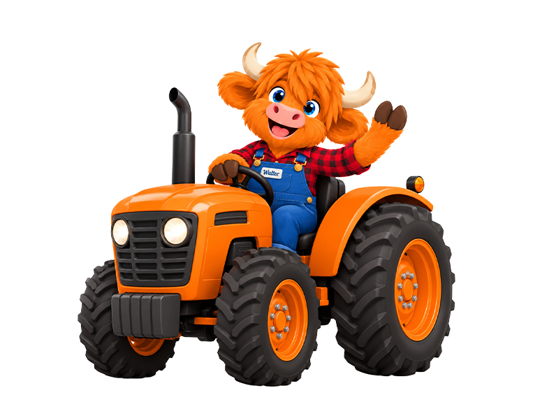 Walter the steer, The Patch’s Highland cow mascot, waving from the seat of an orange tractor